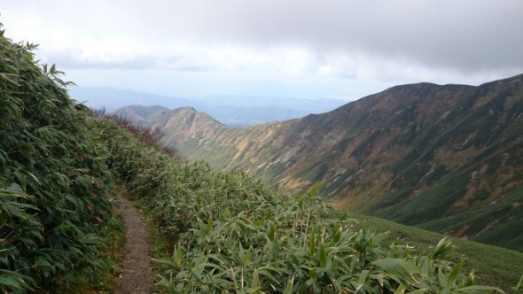 b0148050_219421.jpg
