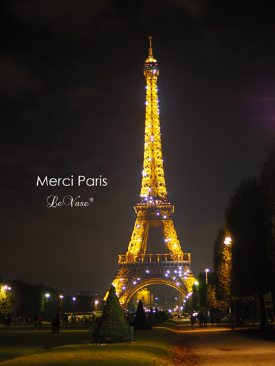 Parisの最後の夜_e0158653_1565595.jpg