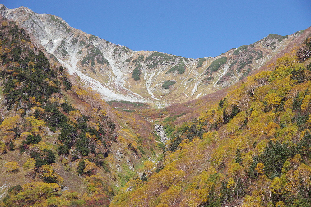 ２０１４．１０．７－９　長野県・上高地 （２）　スジグロシロチョウ　　　２０１４．１０．１５ （記）_a0181059_16203931.jpg