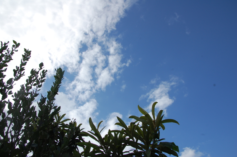 台風一過:なんもなし by (TATE-misaki)_c0108460_16345223.jpg