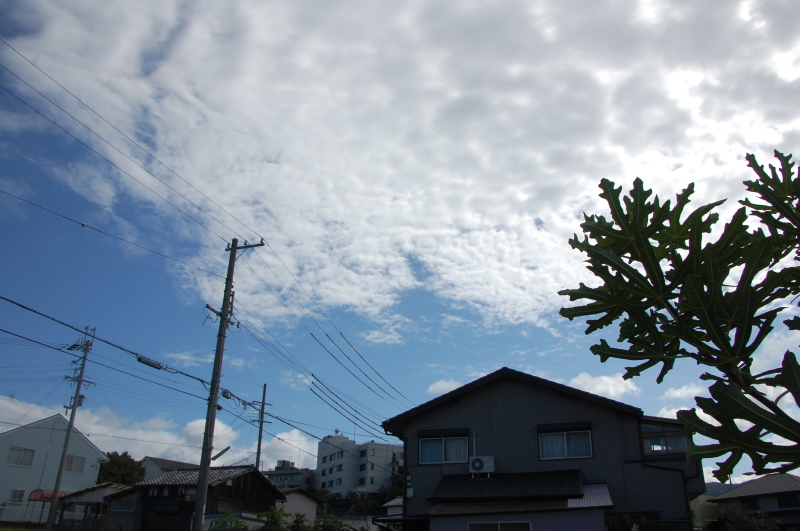 台風一過:なんもなし by (TATE-misaki)_c0108460_16345268.jpg