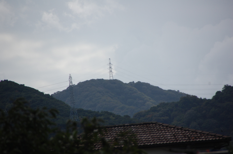 台風一過:なんもなし by (TATE-misaki)_c0108460_16345384.jpg