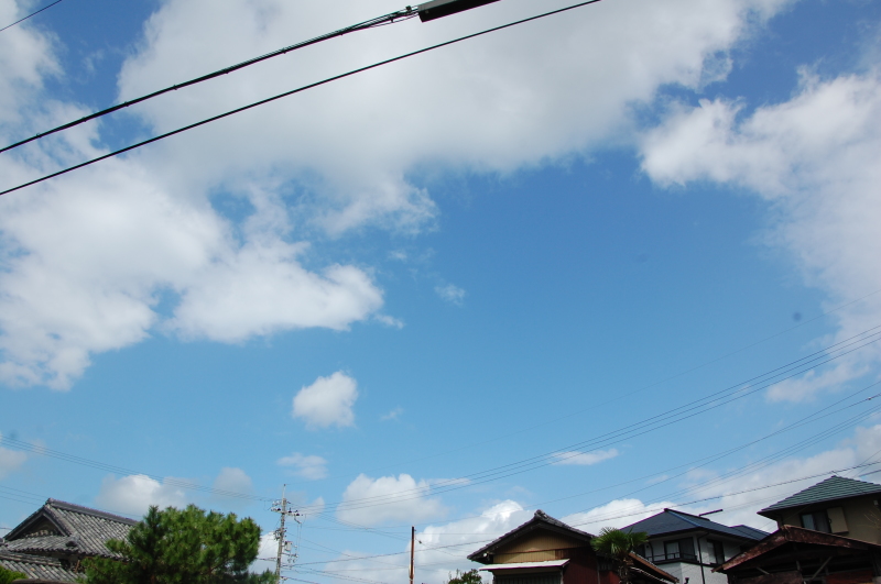台風一過:なんもなし by (TATE-misaki)_c0108460_16345434.jpg
