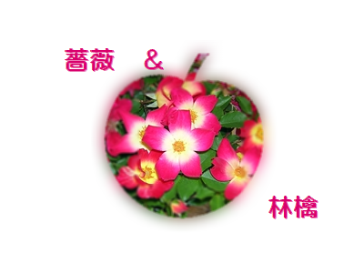 d0263163_0132939.png
