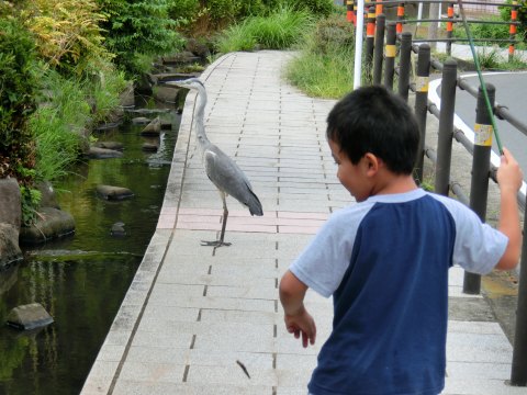 「舞岡ふるさとの森」散歩_e0045768_21531941.jpg