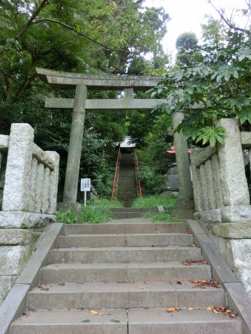 e0045768_222871.jpg