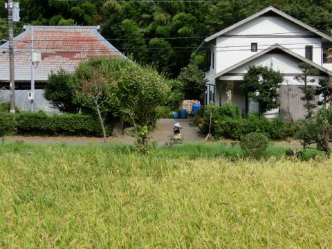 「舞岡ふるさとの森」散歩_e0045768_223166.jpg