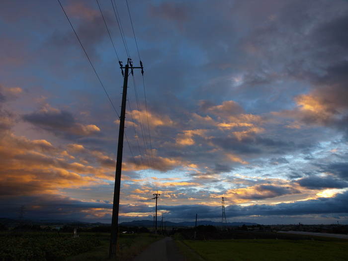 a0260570_901322.jpg