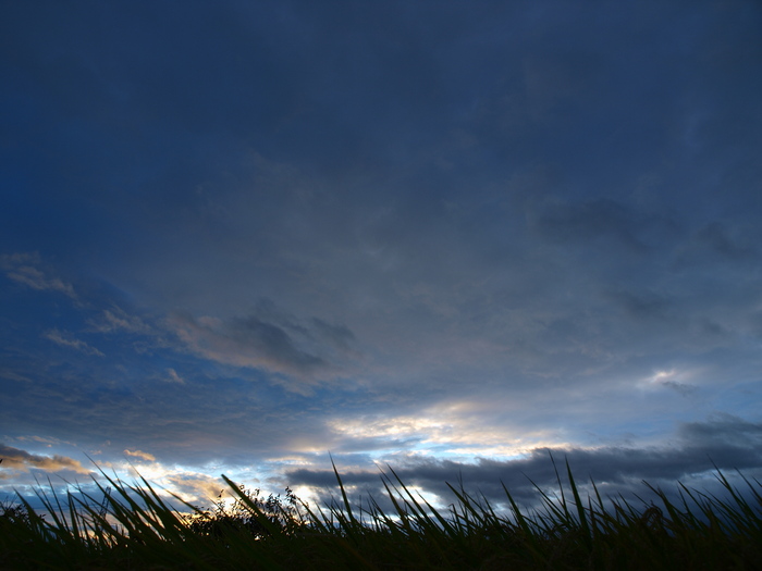 a0260570_91222.jpg