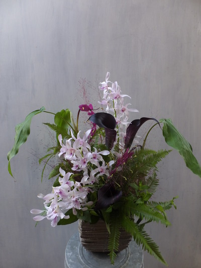 オークリーフ(㐂八さん開店の花)_f0049672_1345762.jpg