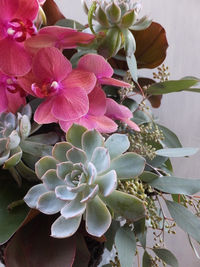 オークリーフ(㐂八さん開店の花)_f0049672_1349851.jpg