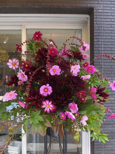 オークリーフ(㐂八さん開店の花)_f0049672_139284.jpg