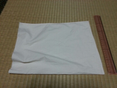 d0001177_20411322.jpg