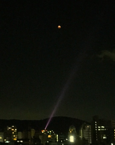 b0191189_18362644.jpg