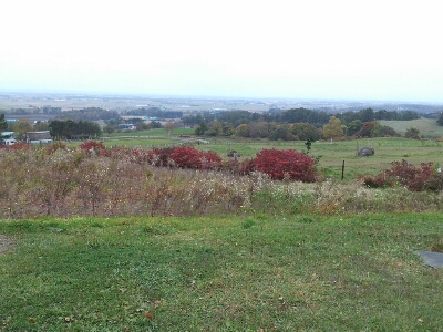 f0246890_912523.jpg