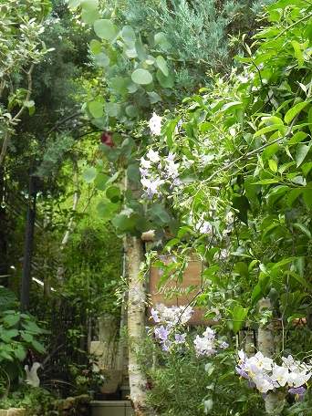 c0152002_18223886.jpg