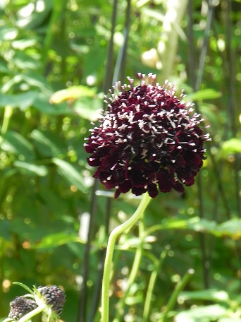 c0152002_18234099.jpg