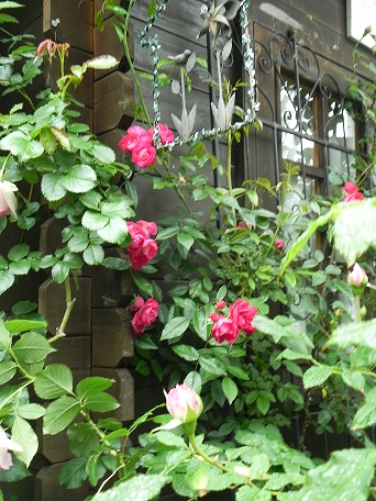 c0152002_18312648.jpg