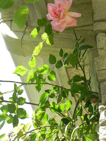c0152002_18352245.jpg