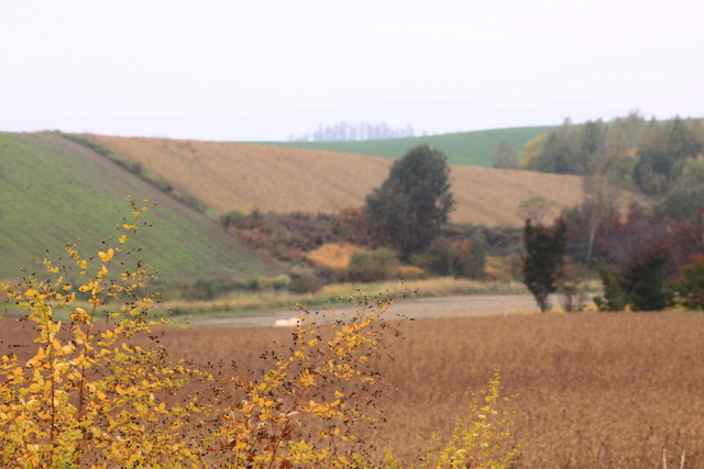 d0248502_21424970.jpg