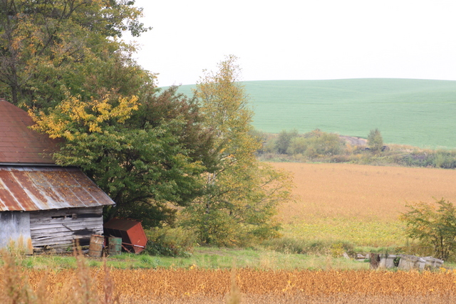 d0248502_21434593.jpg
