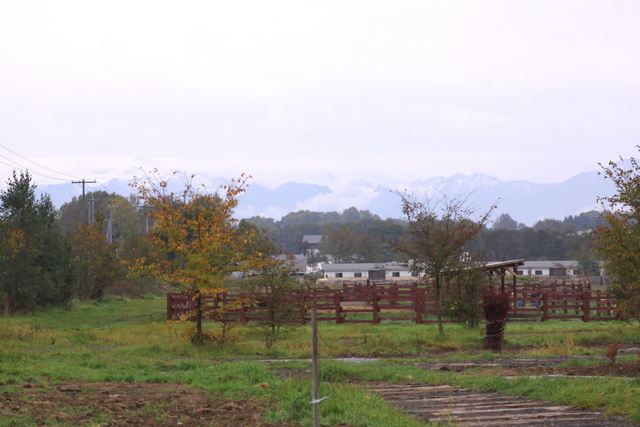 d0248502_2195142.jpg