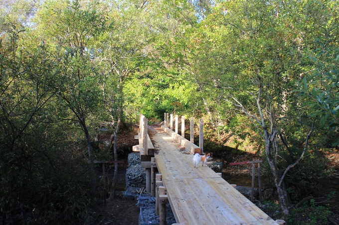 f0034602_21454279.jpg