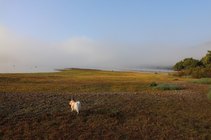 f0034602_21463549.jpg