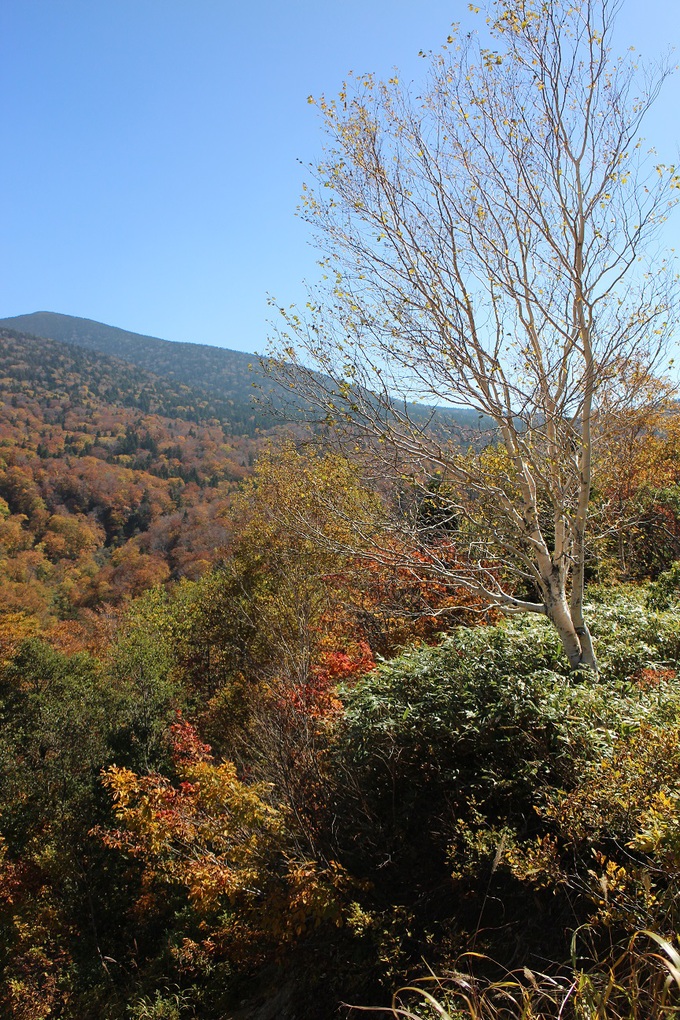 f0034602_21475229.jpg