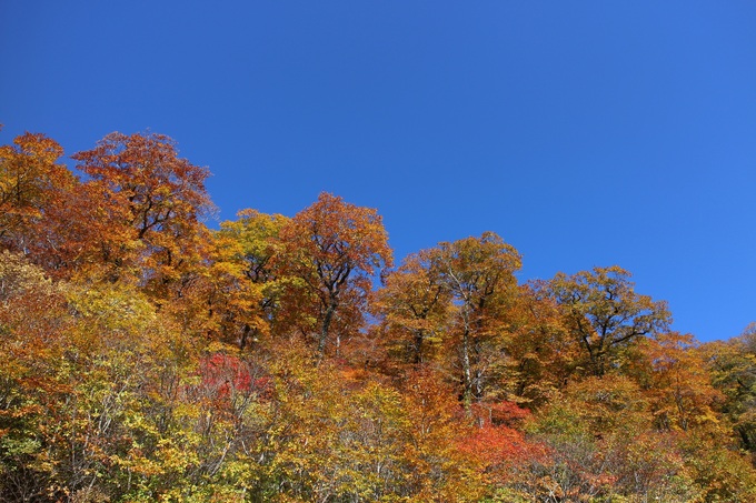 f0034602_21501776.jpg