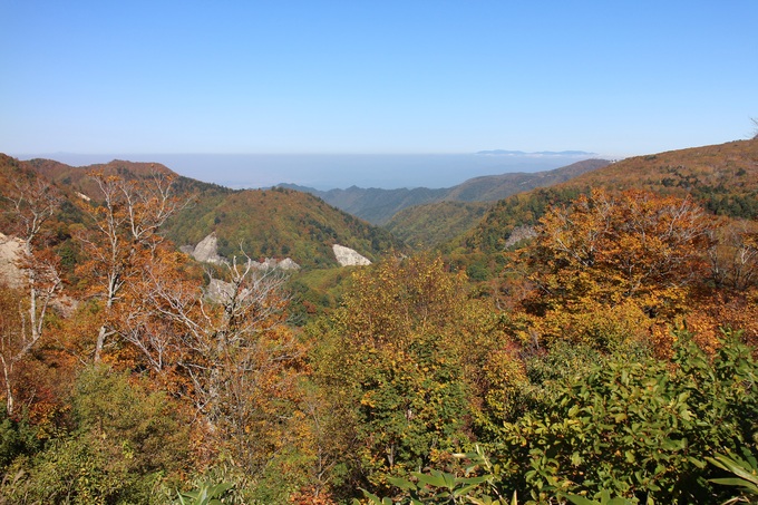 f0034602_21504678.jpg