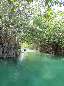 c0039504_9465729.jpg