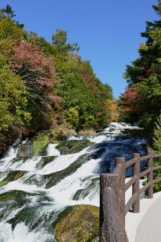 引き続き紅葉ネタ_d0078406_20404890.jpg