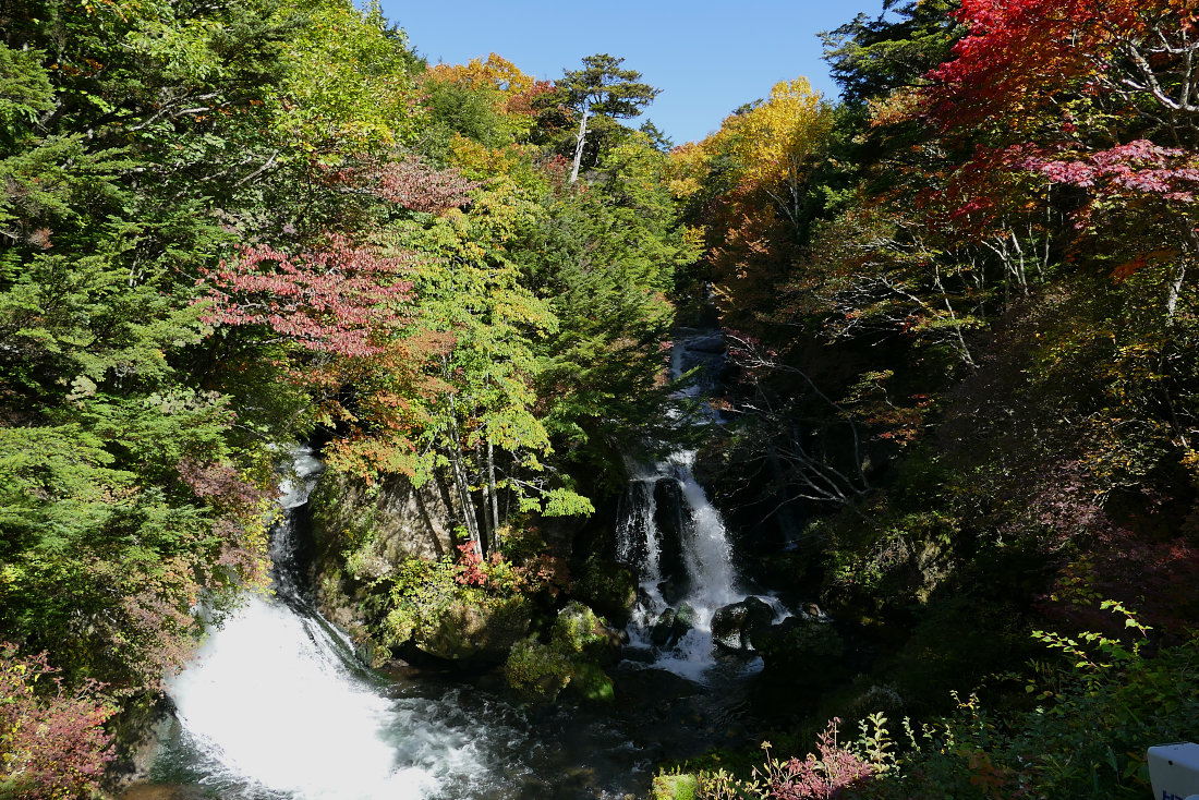 引き続き紅葉ネタ_d0078406_20405631.jpg