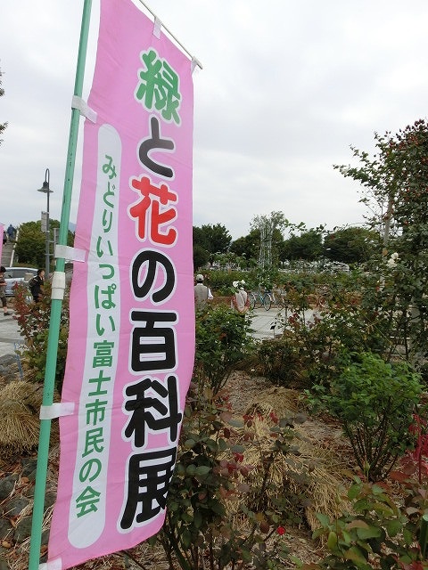 「スポーツの秋」、「…の秋」が始まった 「ハンドボール」と「花と緑」に囲まれて_f0141310_6382437.jpg