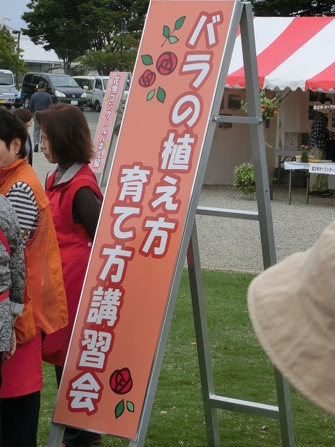 「スポーツの秋」、「…の秋」が始まった 「ハンドボール」と「花と緑」に囲まれて_f0141310_6384555.jpg