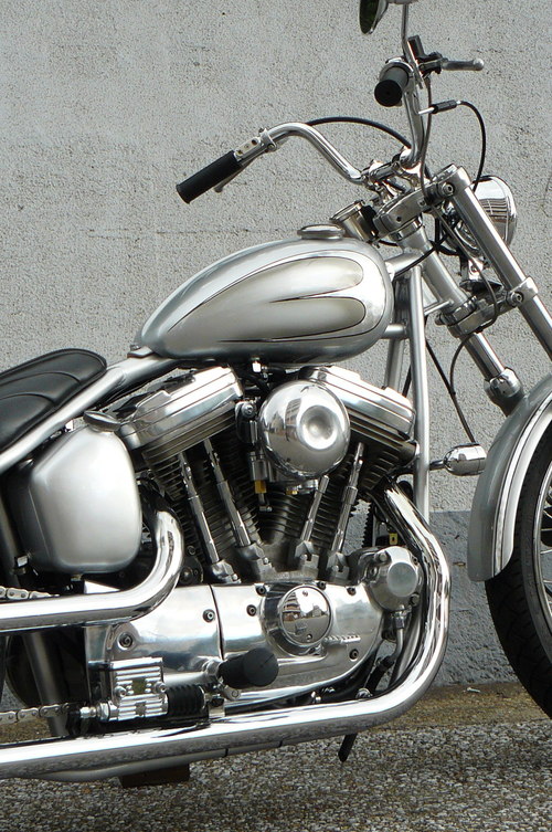 EVO Sportster Rigid_b0160319_18301917.jpg