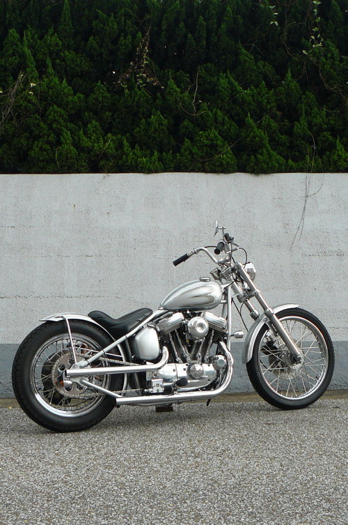 EVO Sportster Rigid_b0160319_18334266.jpg