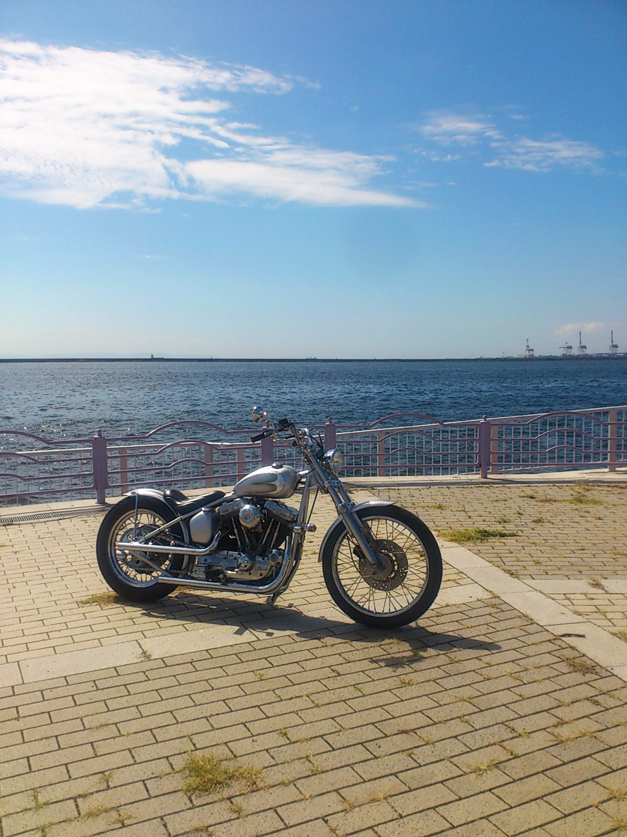 EVO Sportster Rigid_b0160319_18351945.jpg