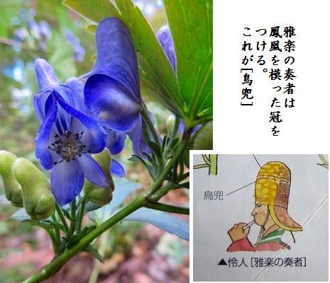 9月の赤城自然園 トリカブト と レイジンソウ 花朝月夕 たわごと草子