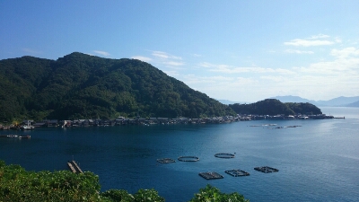 f0163920_7404643.jpg