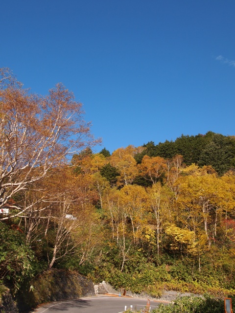 b0177323_1318834.jpg