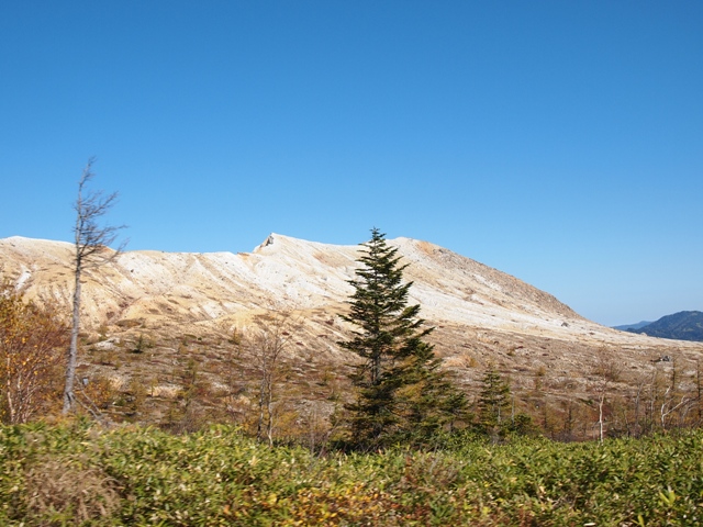 b0177323_13311675.jpg