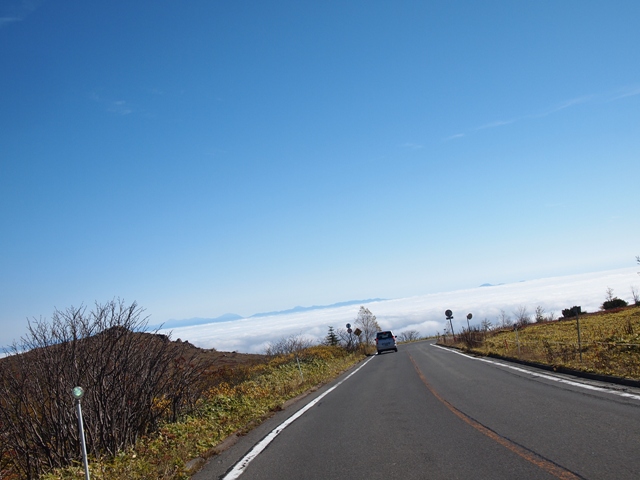 b0177323_1334739.jpg