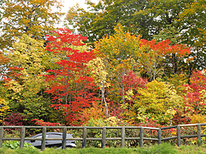 八幡平の紅葉_d0273732_15521815.jpg