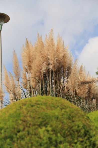 f0229832_127101.jpg