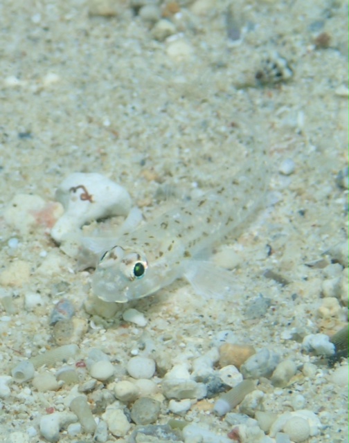 c0070933_23013283.jpg