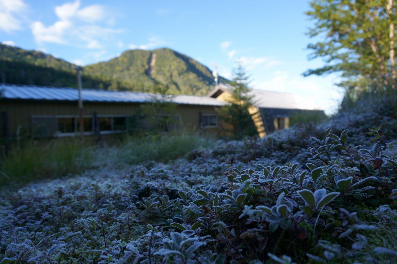 f0348933_13545880.jpg