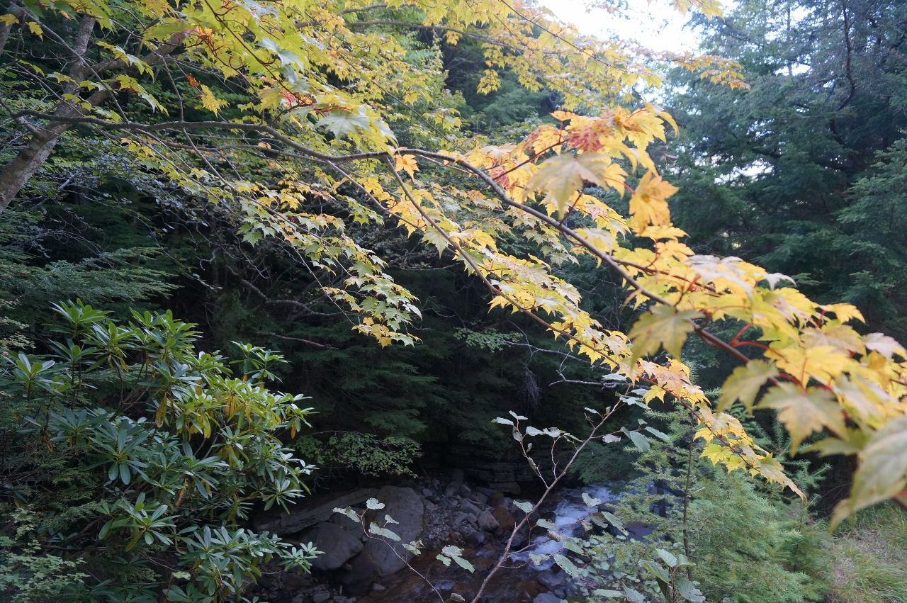 f0348933_135619100.jpg