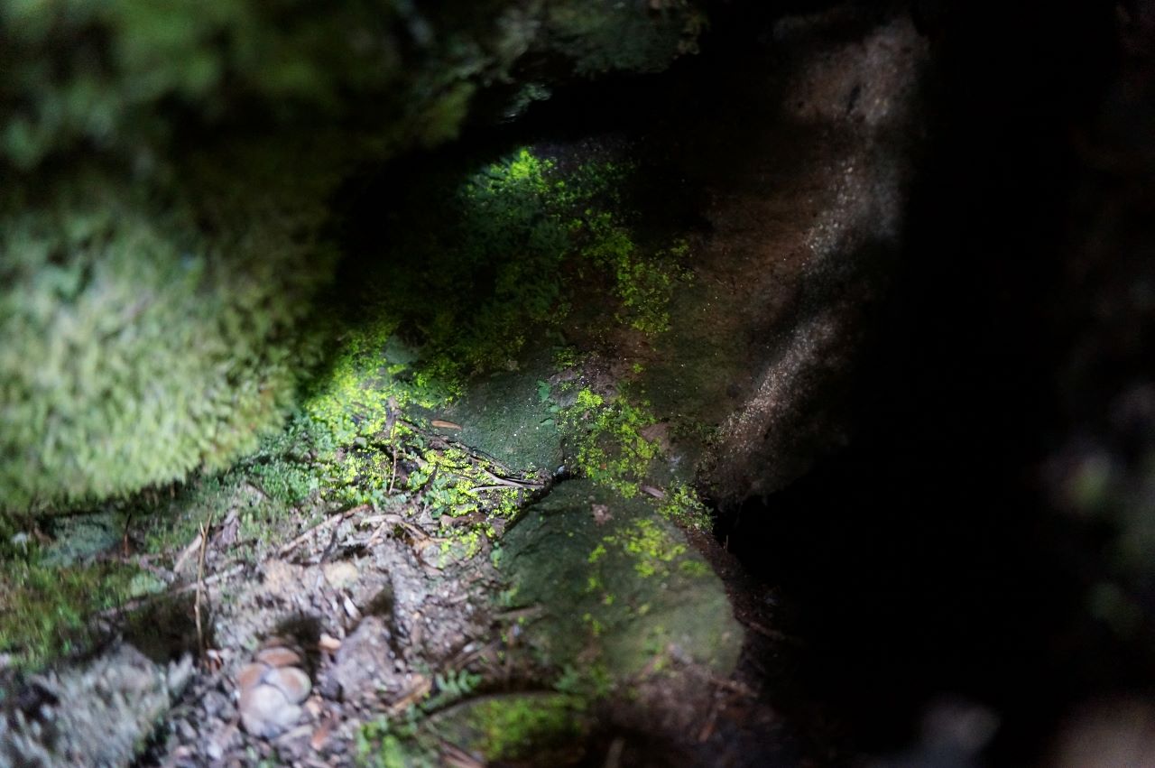 f0348933_1515273.jpg